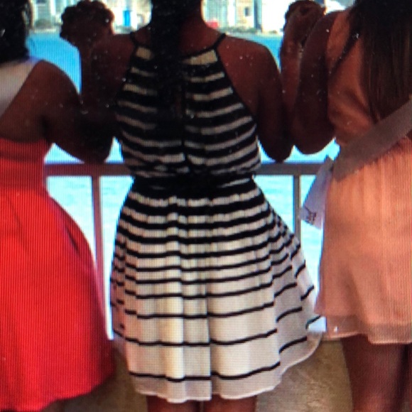 Papaya Dress - Picture 8 of 8